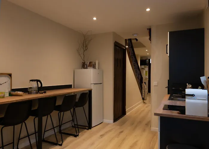 Appartement Maison De Standing Au Centre De 7 Avec 7 Salles De Bain, Sauna, Cour Privee Reims