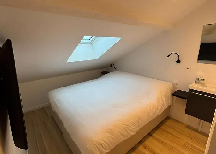 Maison De Standing Au Centre De 7 Avec 7 Salles De Bain, Sauna, Cour Privee Appartement