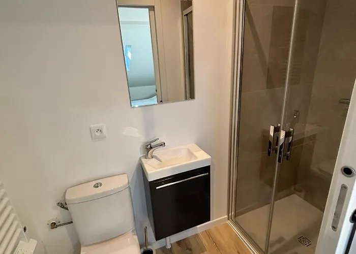 Appartement Maison De Standing Au Centre De 7 Avec 7 Salles De Bain, Sauna, Cour Privee